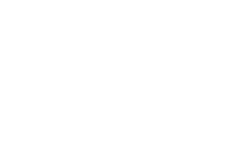 Q&A