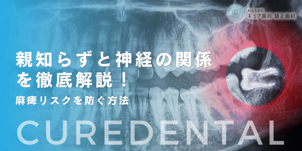 親知らずと神経の関係を徹底解説！麻痺リスクを防ぐ方法