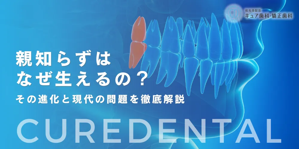 親知らずはなぜ生えるの？その進化と現代の問題を徹底解説